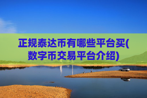 正规泰达币有哪些平台买(数字币交易平台介绍)