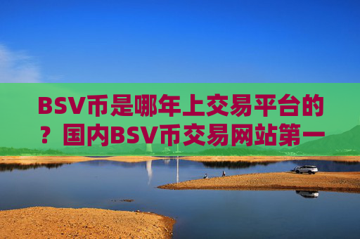 BSV币是哪年上交易平台的？国内BSV币交易网站第一家