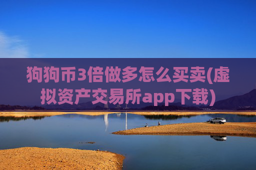 狗狗币3倍做多怎么买卖(虚拟资产交易所app下载)