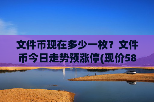 文件币现在多少一枚?文件币今日走势预涨停(现价58.8595元)