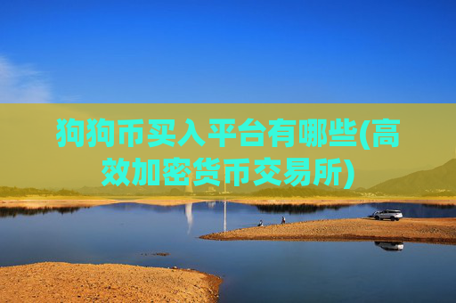 狗狗币买入平台有哪些(高效加密货币交易所)