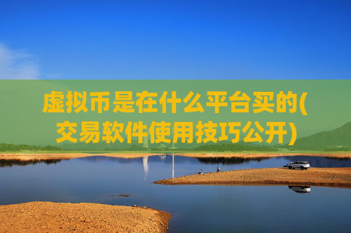 虚拟币是在什么平台买的(交易软件使用技巧公开)