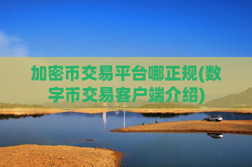 加密币交易平台哪正规(数字币交易客户端介绍)