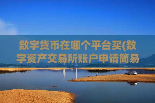 数字货币在哪个平台买(数字资产交易所账户申请简易)