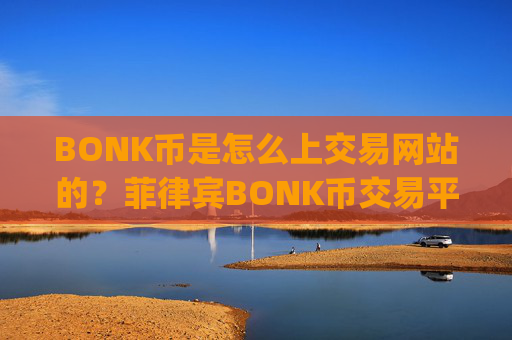 BONK币是怎么上交易网站的?菲律宾BONK币交易平台app