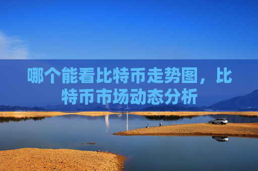 哪个能看比特币走势图，比特币市场动态分析