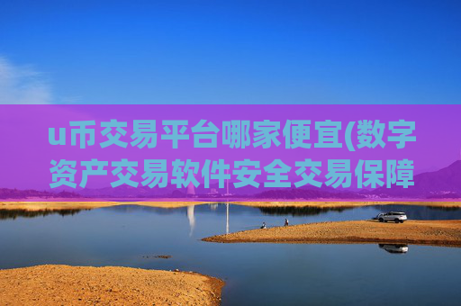 u币交易平台哪家便宜(数字资产交易软件安全交易保障)