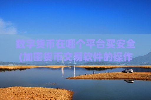 数字货币在哪个平台买安全(加密货币交易软件的操作简便)