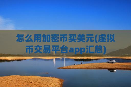 怎么用加密币买美元(虚拟币交易平台app汇总)