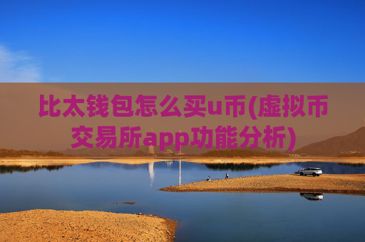比太钱包怎么买u币(虚拟币交易所app功能分析)
