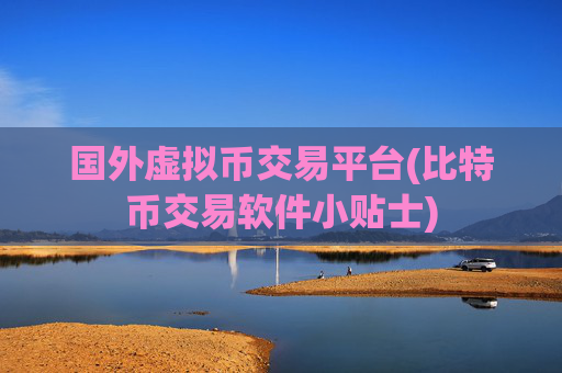 国外虚拟币交易平台(比特币交易软件小贴士)