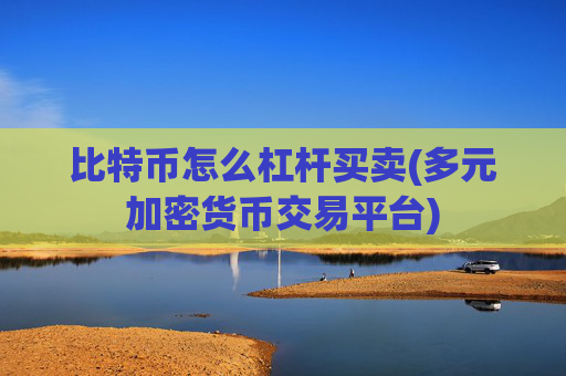 比特币怎么杠杆买卖(多元加密货币交易平台)