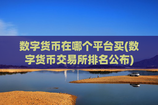 数字货币在哪个平台买(数字货币交易所排名公布)