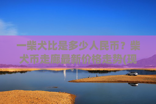 一柴犬比是多少人民币？柴犬币走廊最新价格走势(现价0.00023425元)