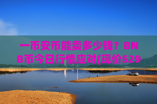 一币安币能卖多少钱?BNB币今日行情应对(现价5298.34元)