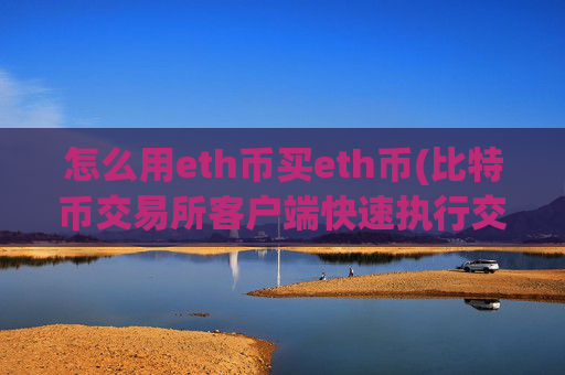 怎么用eth币买eth币(比特币交易所客户端快速执行交易)
