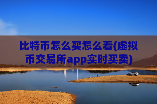 比特币怎么买怎么看(虚拟币交易所app实时买卖)