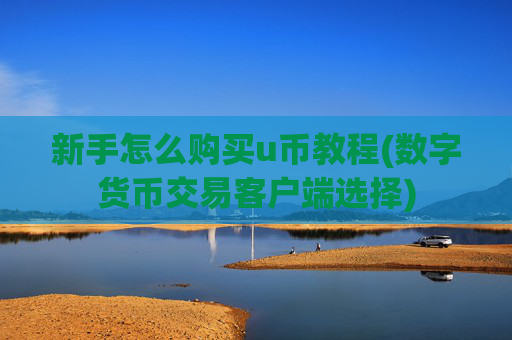 新手怎么购买u币教程(数字货币交易客户端选择)