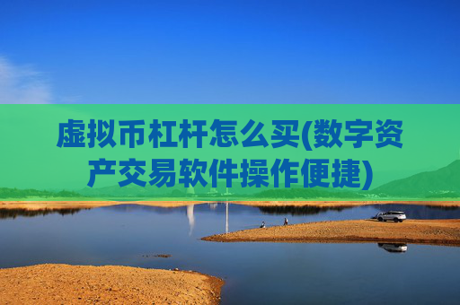 虚拟币杠杆怎么买(数字资产交易软件操作便捷)