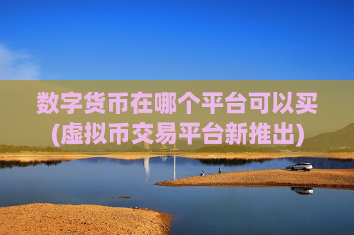 数字货币在哪个平台可以买(虚拟币交易平台新推出)