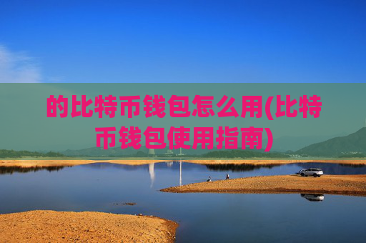 的比特币钱包怎么用(比特币钱包使用指南)