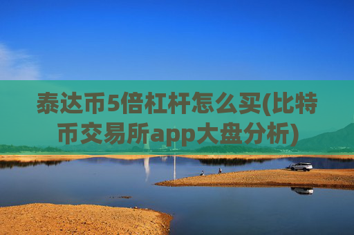 泰达币5倍杠杆怎么买(比特币交易所app大盘分析)