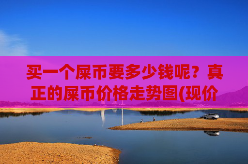 买一个屎币要多少钱呢?真正的屎币价格走势图(现价0.00023152元)