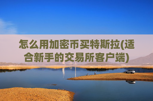 怎么用加密币买特斯拉(适合新手的交易所客户端)