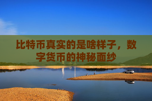 比特币真实的是啥样子,数字货币的神秘面纱