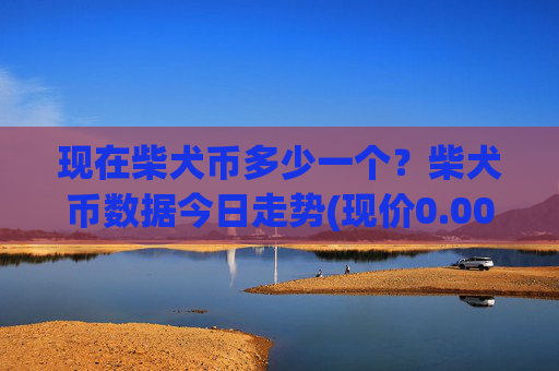 现在柴犬币多少一个？柴犬币数据今日走势(现价0.00023213元)