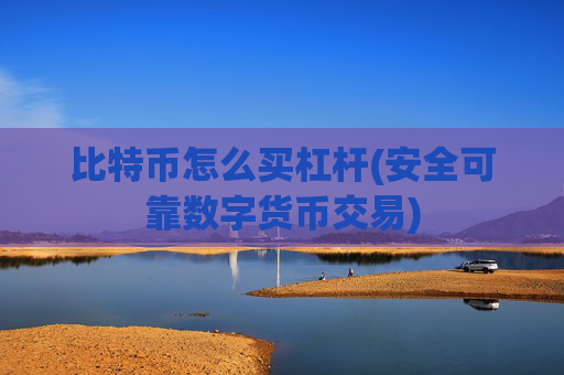 比特币怎么买杠杆(安全可靠数字货币交易)