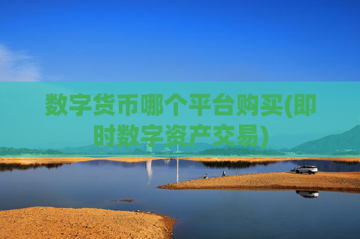 数字货币哪个平台购买(即时数字资产交易)