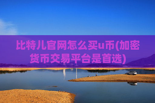 比特儿官网怎么买u币(加密货币交易平台是首选)