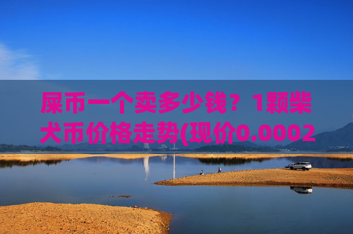 屎币一个卖多少钱?1颗柴犬币价格走势(现价0.00023105元)