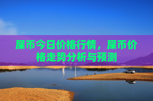 屎币今日价格行情,屎币价格走势分析与预测