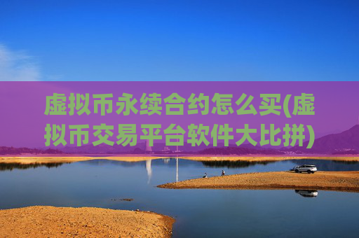 虚拟币永续合约怎么买(虚拟币交易平台软件大比拼)