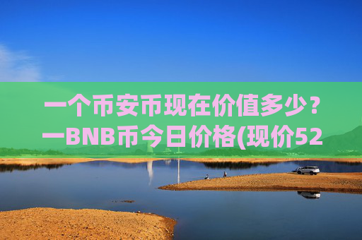 一个币安币现在价值多少？一BNB币今日价格(现价5258.84元)