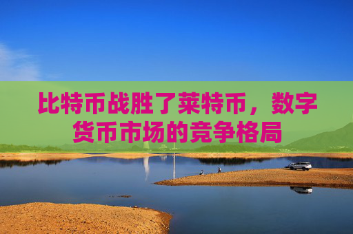 比特币战胜了莱特币,数字货币市场的竞争格局