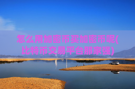 怎么用加密币买加密币呢(比特币交易平台那家强)