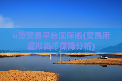 u币交易平台国际版(交易所虚拟货币保障分析)