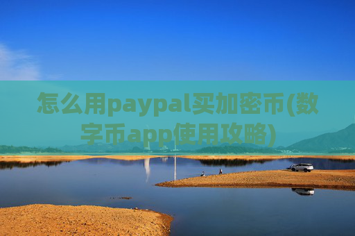 怎么用paypal买加密币(数字币app使用攻略)