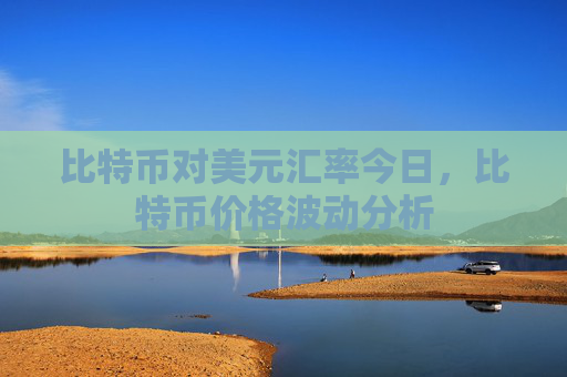 比特币对美元汇率今日,比特币价格波动分析