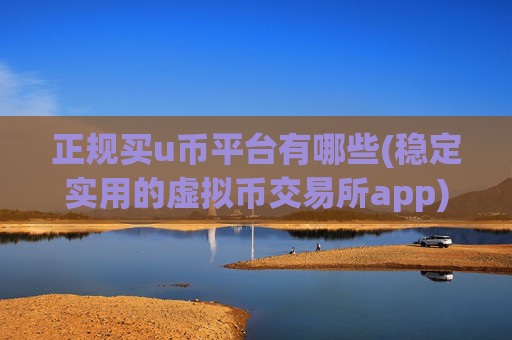 正规买u币平台有哪些(稳定实用的虚拟币交易所app)