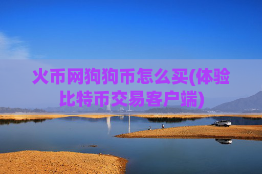 火币网狗狗币怎么买(体验比特币交易客户端)