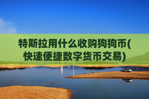 特斯拉用什么收购狗狗币(快速便捷数字货币交易)