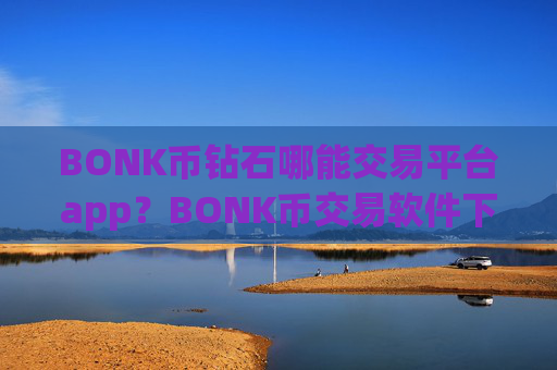 BONK币钻石哪能交易平台app？BONK币交易软件下载是正规交易软件下载吗