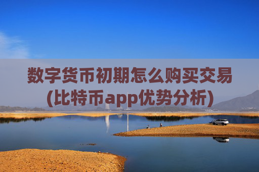 数字货币初期怎么购买交易(比特币app优势分析)