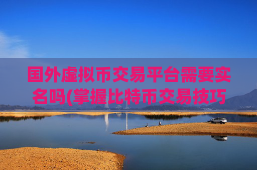 国外虚拟币交易平台需要实名吗(掌握比特币交易技巧)