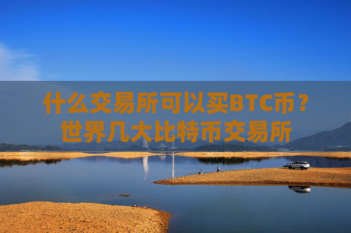 什么交易所可以买BTC币?世界几大比特币交易所