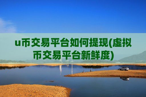 u币交易平台如何提现(虚拟币交易平台新鲜度)